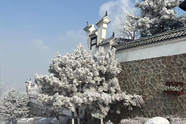 园区实景
